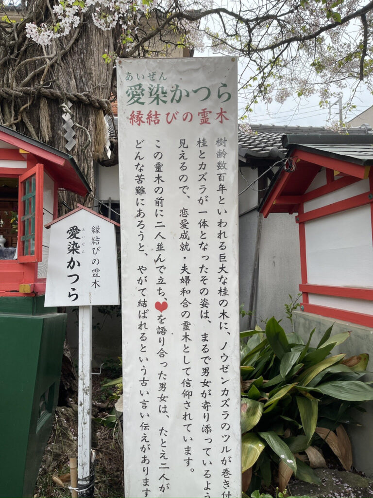 Aizen katsura Explanatory placard