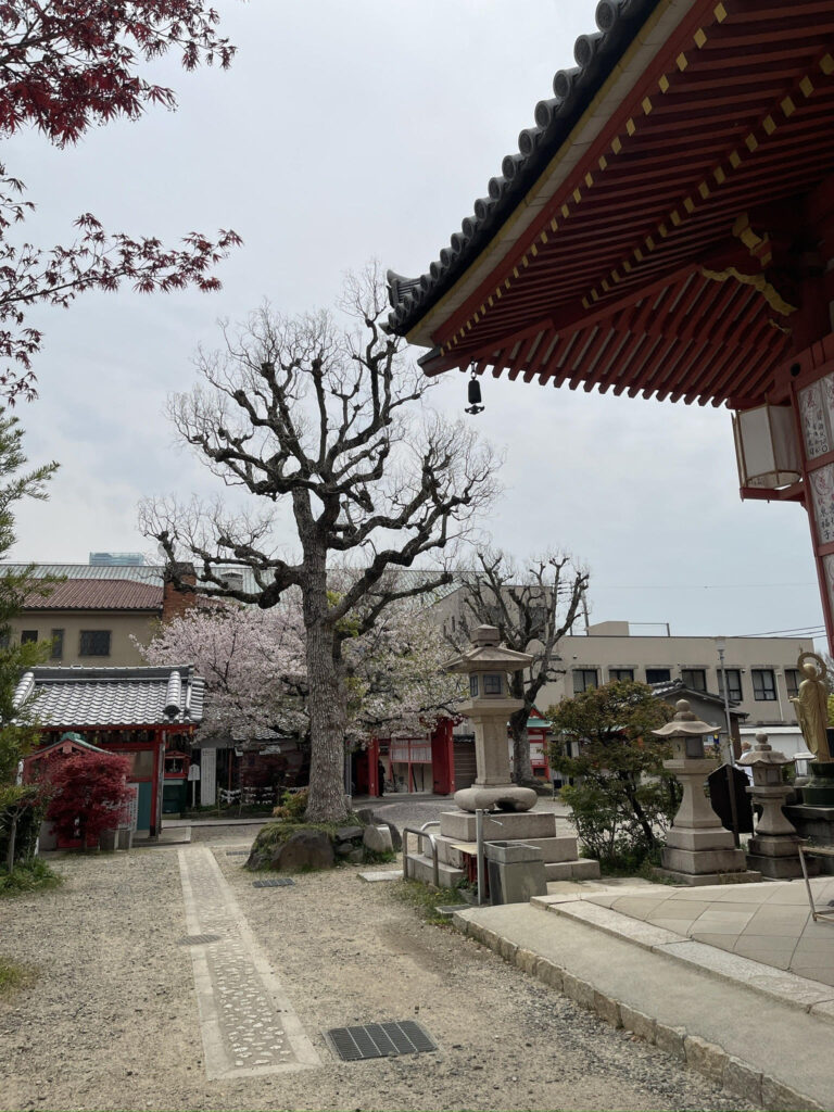 Scenery of the temple grounds