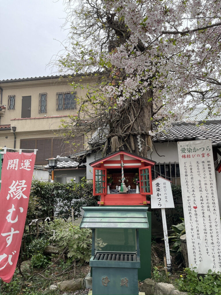 愛染かつら
